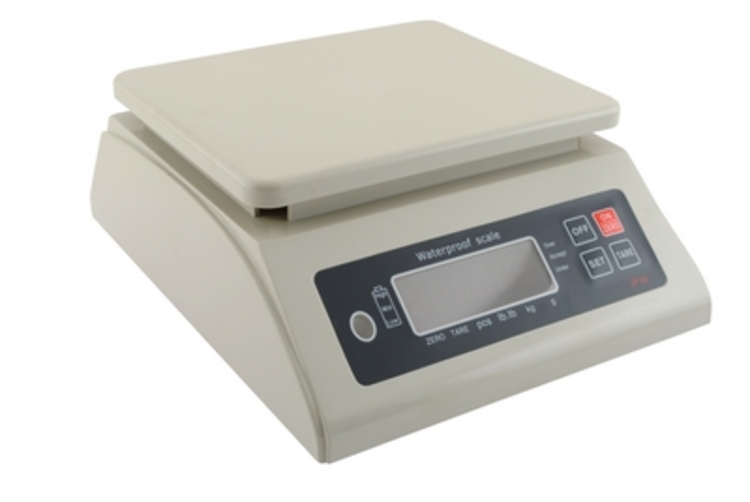 Plastic parts counting scale 66 lb capacity with stainless steel weighing pan and digital display